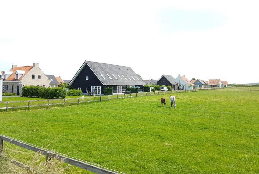 Paarden Cadzand