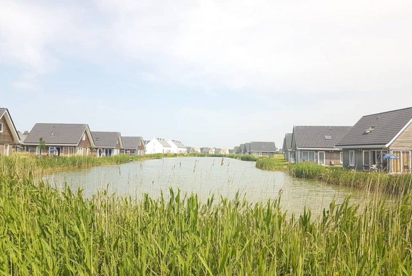 Vijver Nieuwvliet-bad